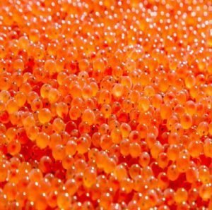 Fresh Coho Roe - Stone Cold Fishing Beads