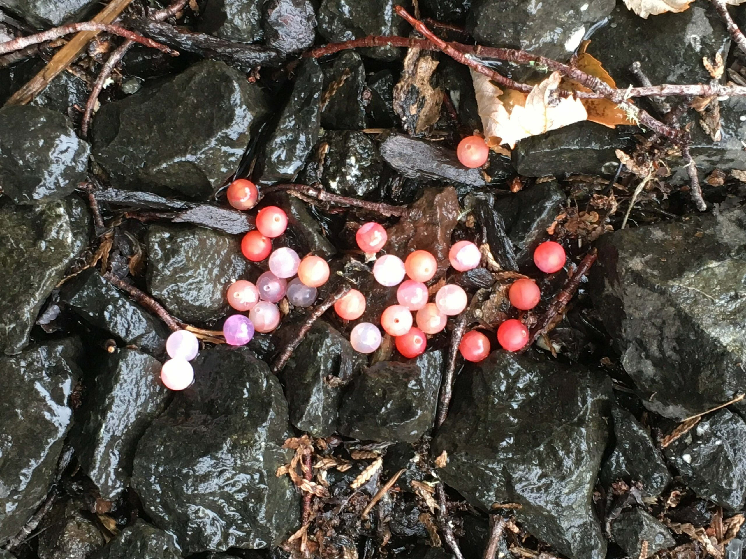 Mottled Orange Roe - Stone Cold Fishing Beads