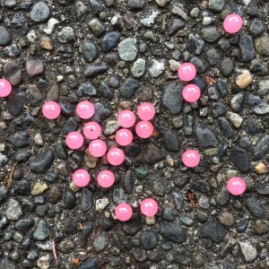 Dead Salmon Eggs Archives - Stone Cold Fishing Beads